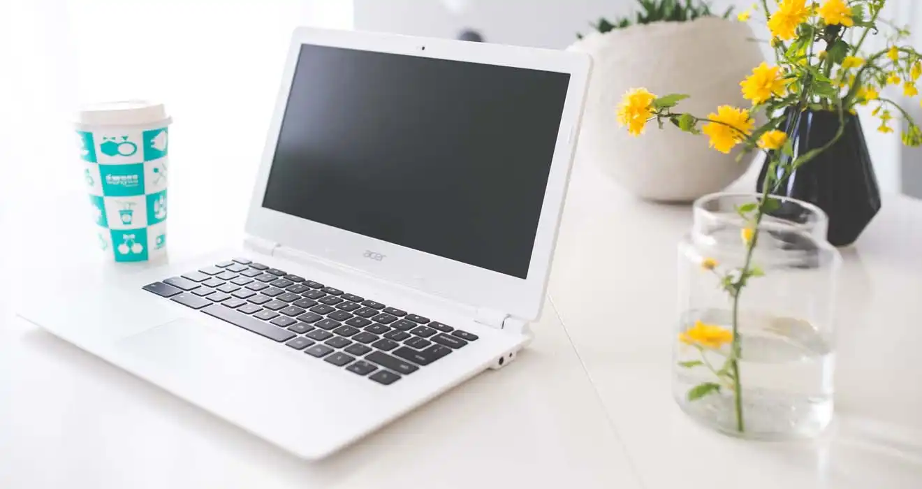 Ремонт ноутбуков Acer в Селятино